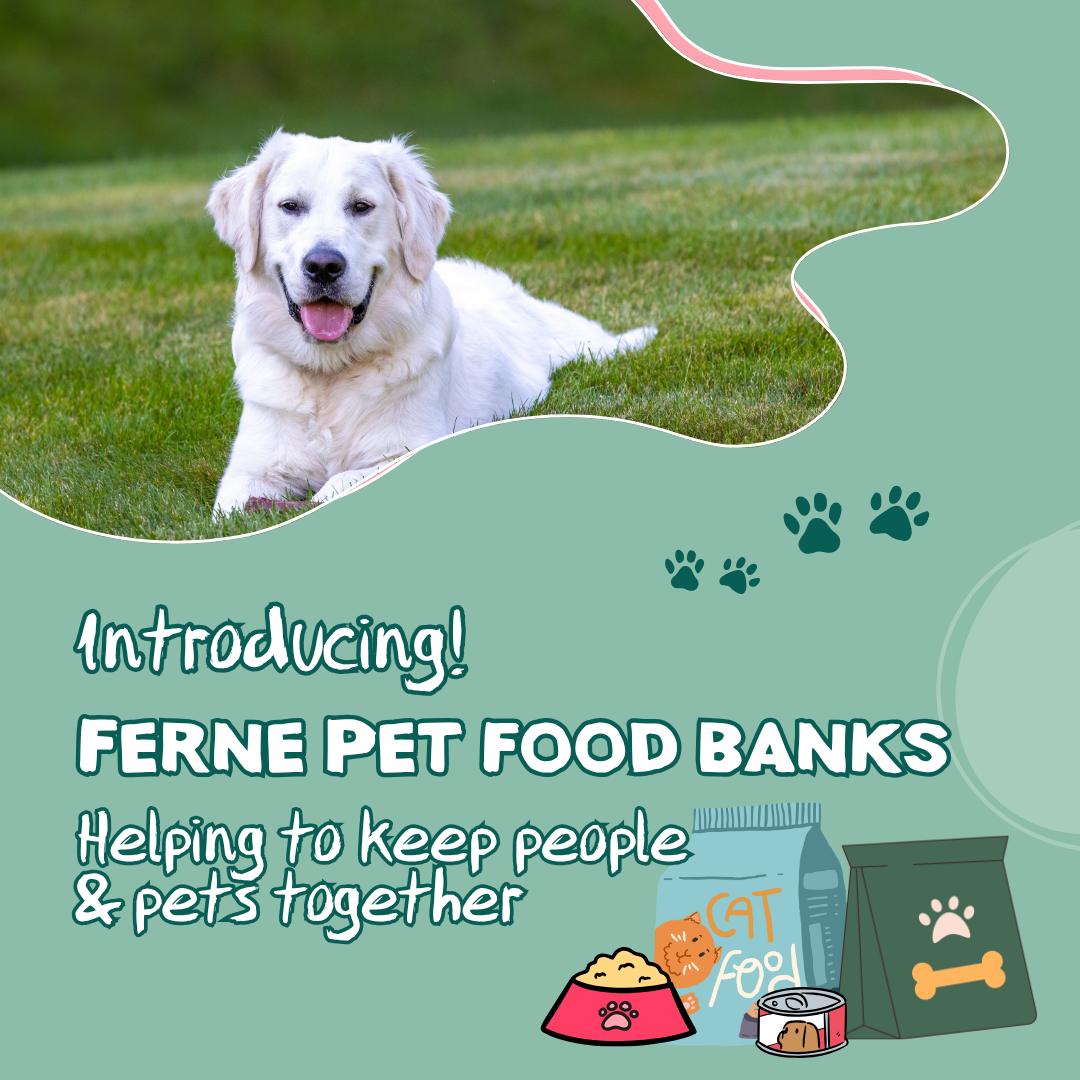 Supporting Pets and Their People: Ferne Launches Pet Food Bank Scheme