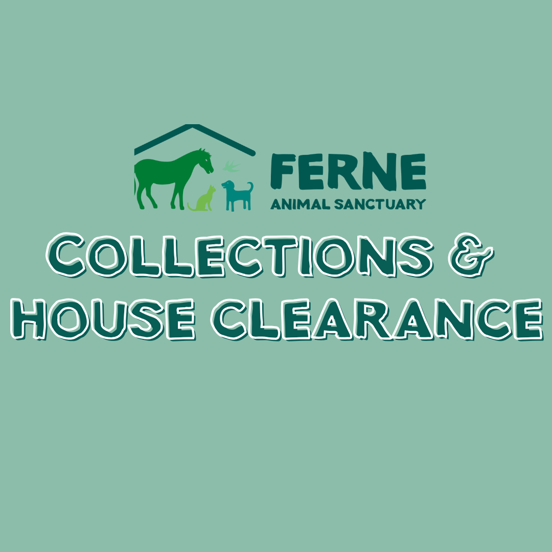 Ferne Animal Sanctuary Charity Shop Dorchester