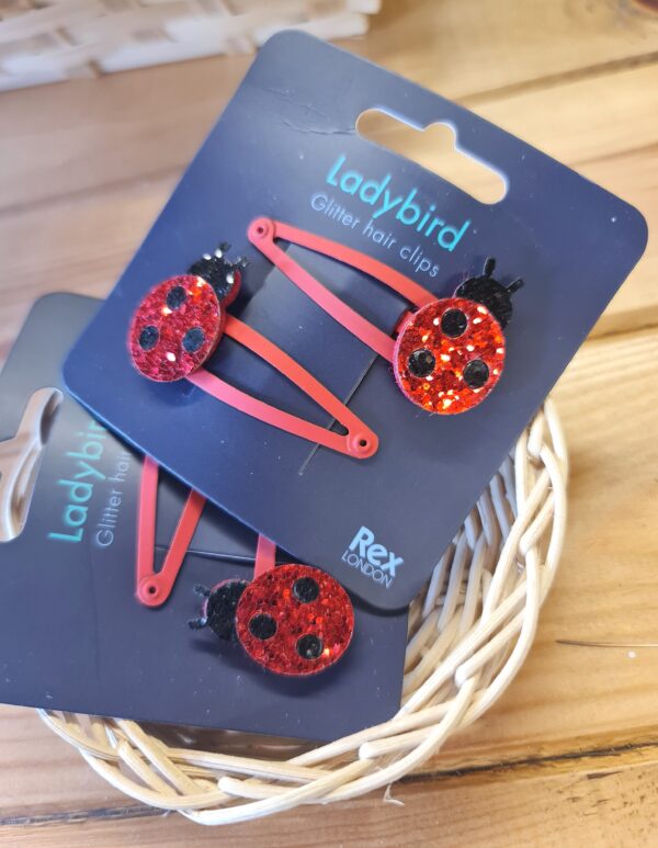Ladybird hair clips