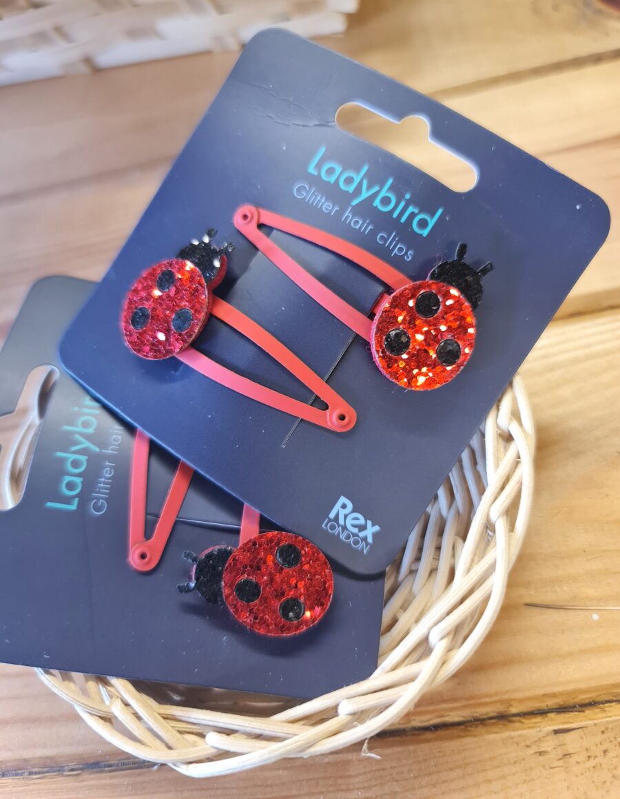 Ladybird hair clips