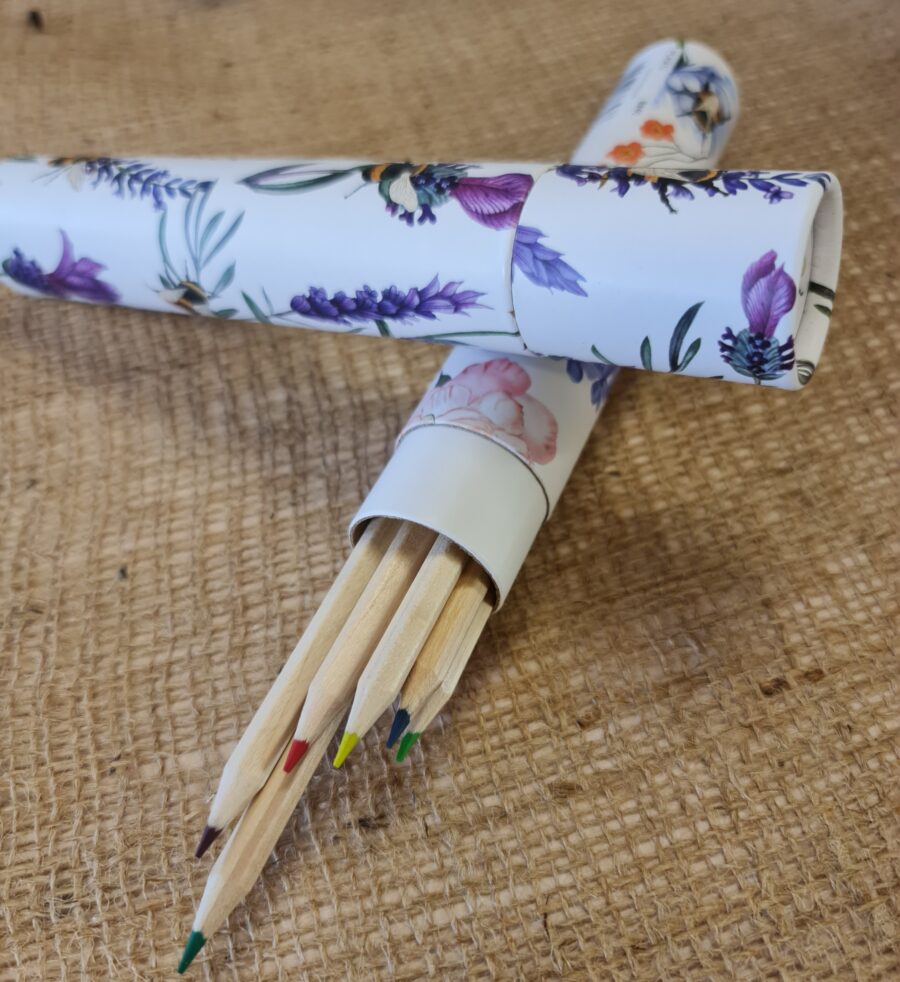 Bee and Meadow Colouring Pencils - Image 2