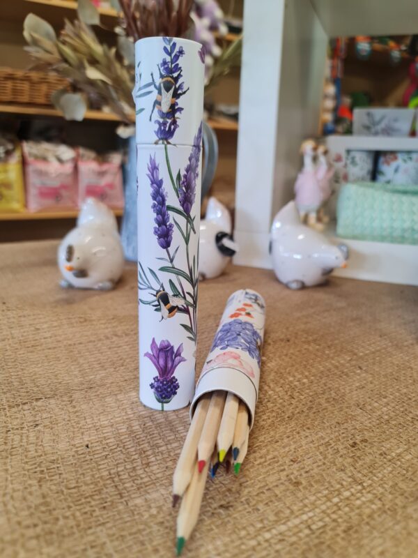 Bee and Meadow Colouring Pencils