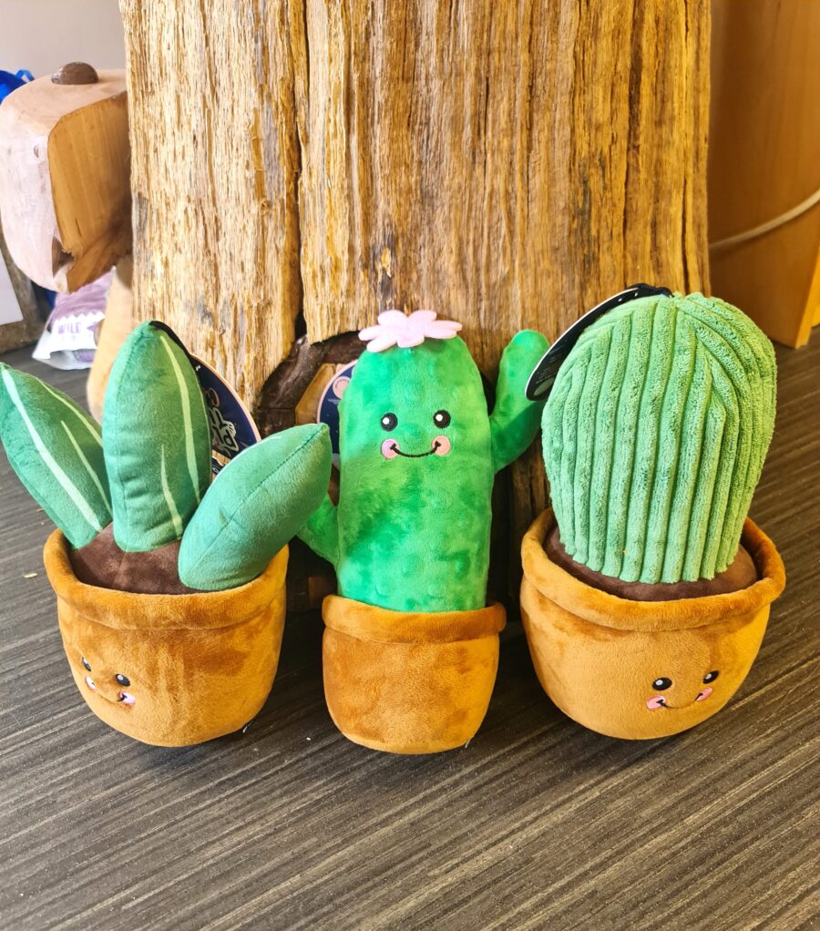 Large Cactus Dog Toy - Image 2