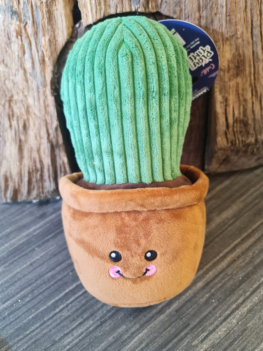 Large Cactus Dog Toy