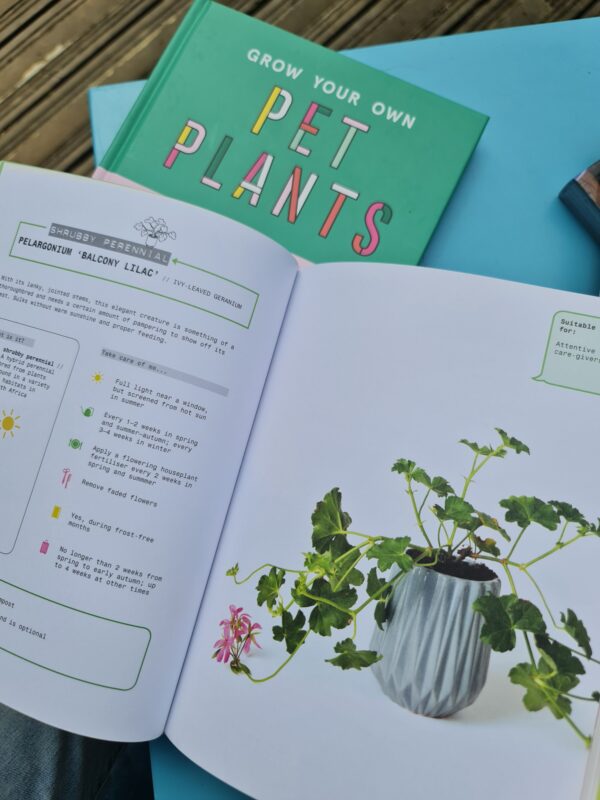 Grow Your Own Pet Plants