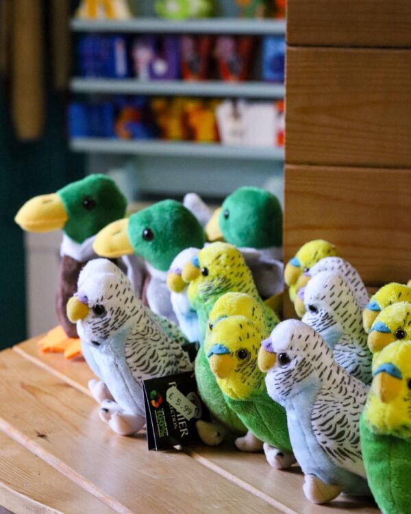 Budgerigar soft toy