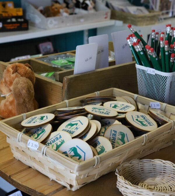 Ferne branded Wooden Fridge Magnet