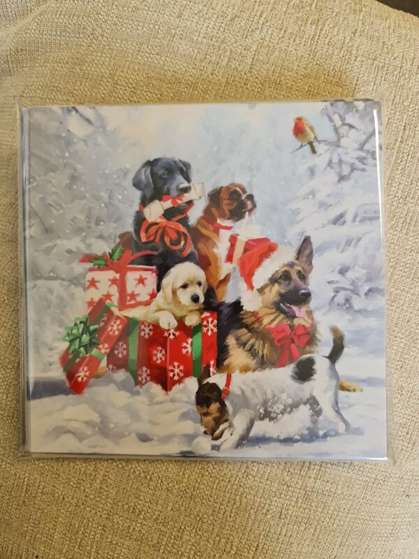 Ferne Christmas Cards Pack of 10 - Paws & Presents