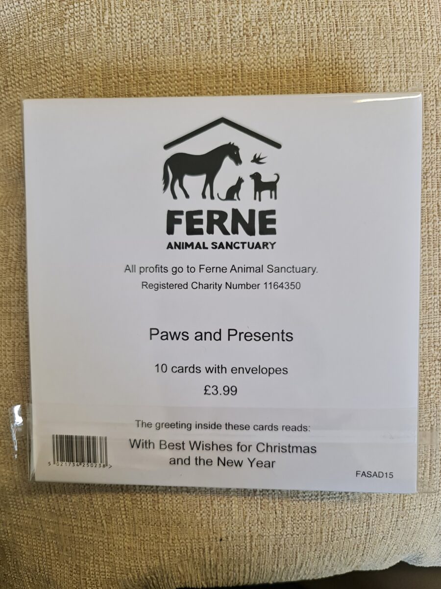 Ferne Christmas Cards Pack of 10 - Paws & Presents - Image 3