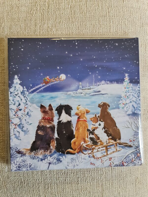 Ferne Christmas Cards pack of 10 - Waiting for Santa