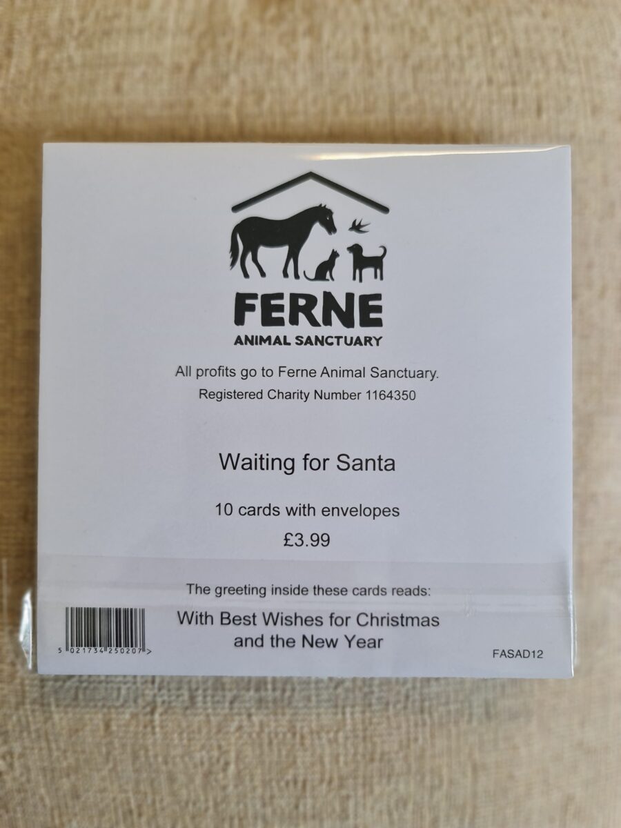 Ferne Christmas Cards pack of 10 - Waiting for Santa - Image 2