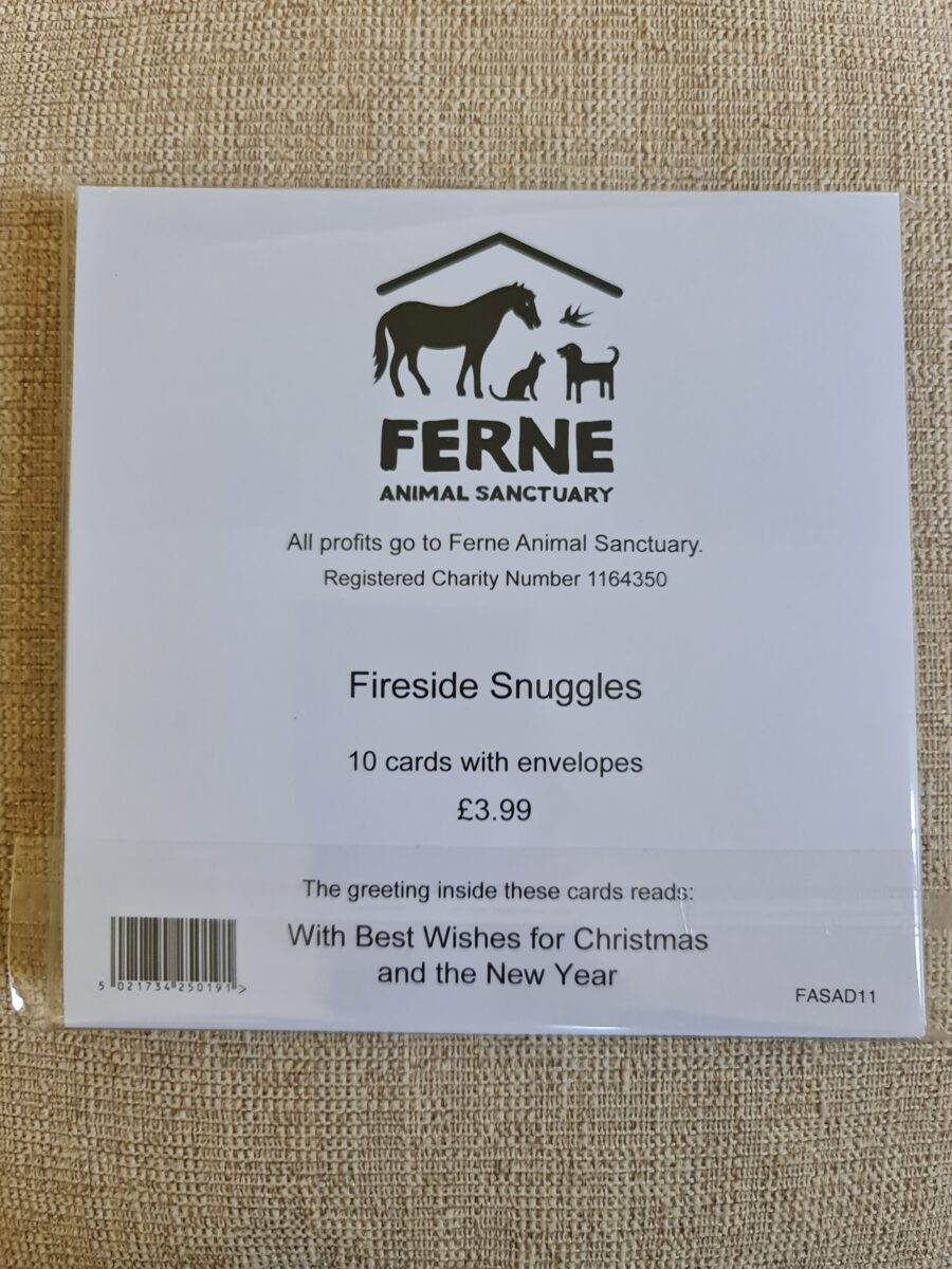 Ferne Christmas Cards Pack of 10 - Fireside Snuggles - Image 2