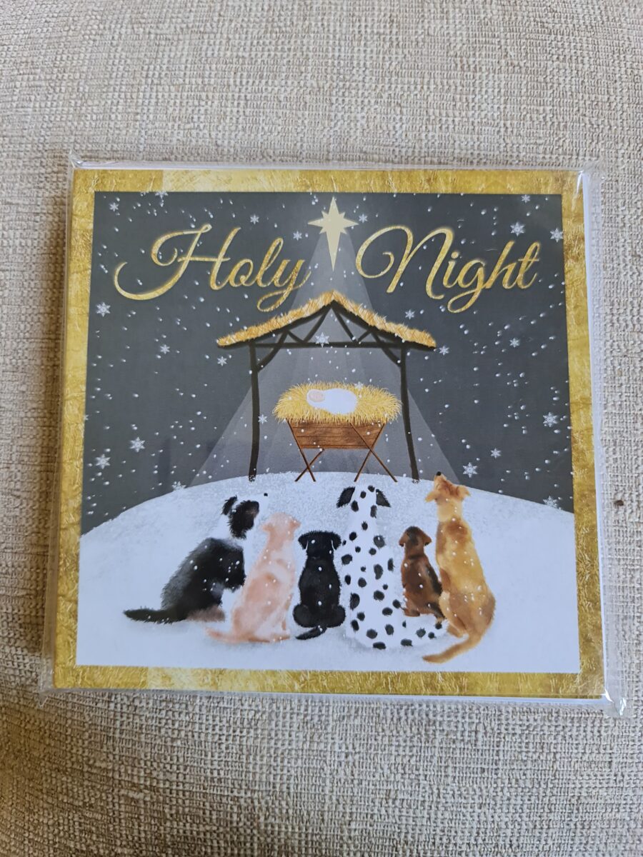 Ferne Christmas Cards Pack of 10 - Baby Jesus is Born