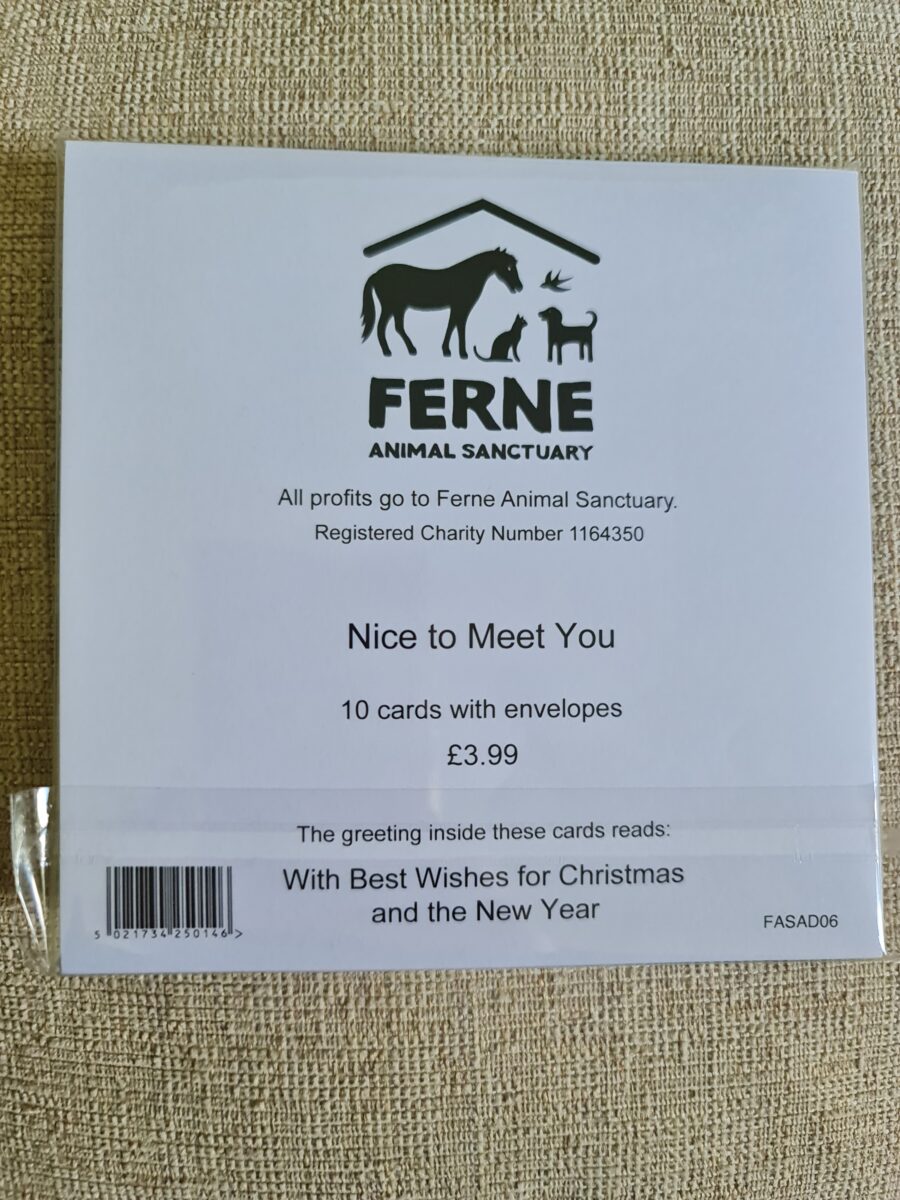 Ferne Christmas Cards Pack of 10 - Nice to Meet You - Image 2