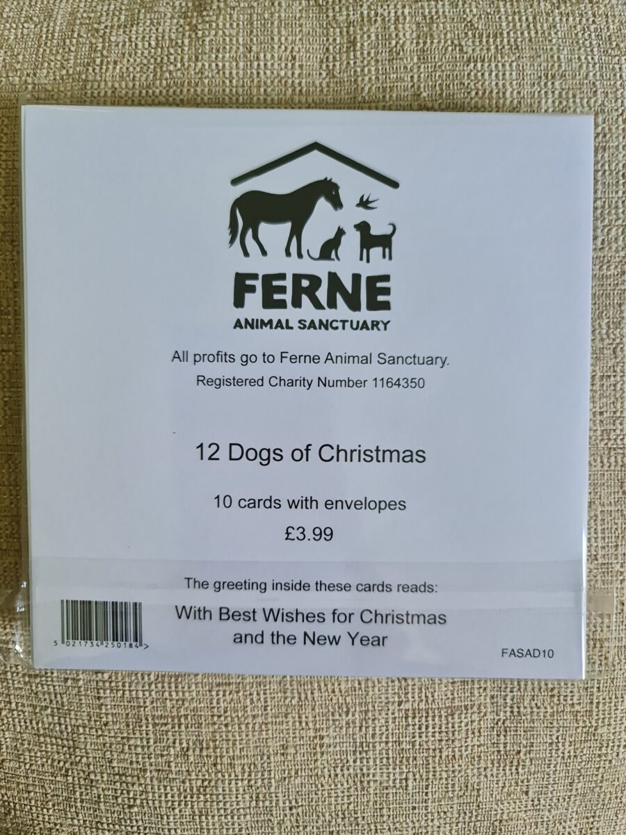 Ferne Christmas Cards Pack of 10 - The 12 Dogs of Christmas - Image 2