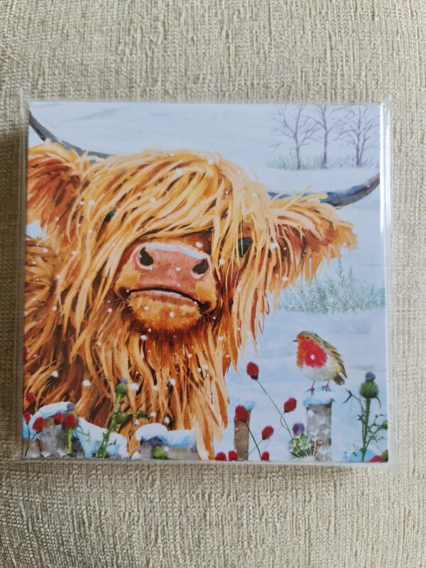 Ferne Christmas Cards Pack of 10 - Christmas Coo