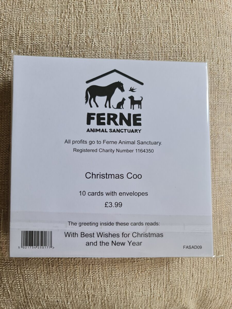 Ferne Christmas Cards Pack of 10 - Christmas Coo - Image 2