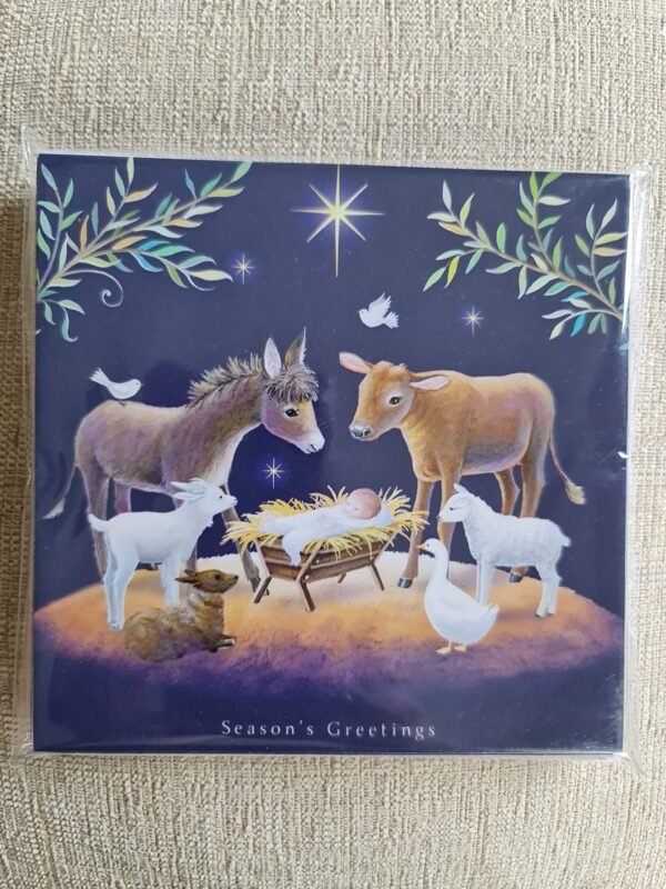 Ferne Christmas Cards Pack of 10 - Watching Over Baby Jesus