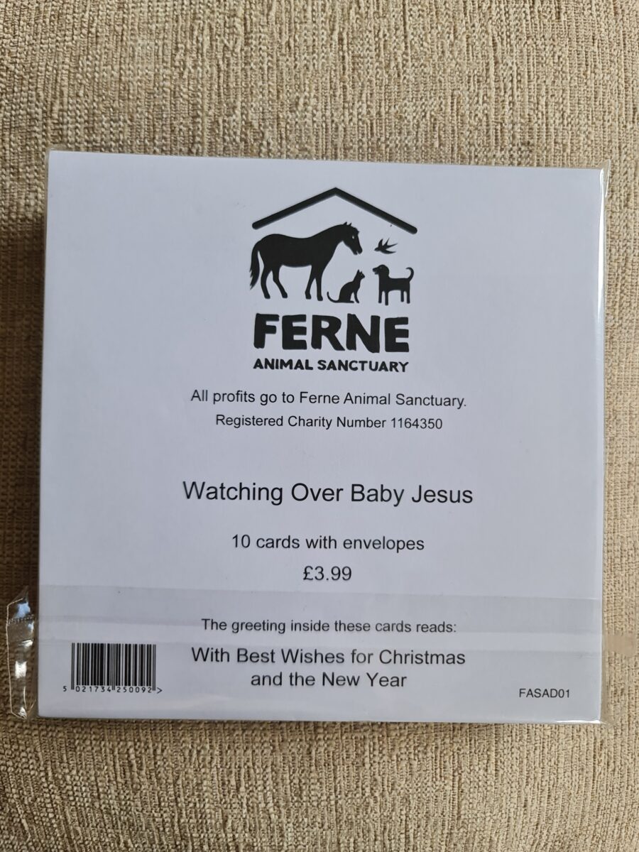 Ferne Christmas Cards Pack of 10 - Watching Over Baby Jesus - Image 2