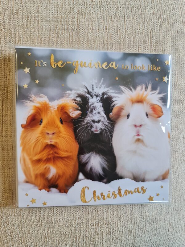 Ferne Christmas Cards pack of 10 - Guinea Pigs