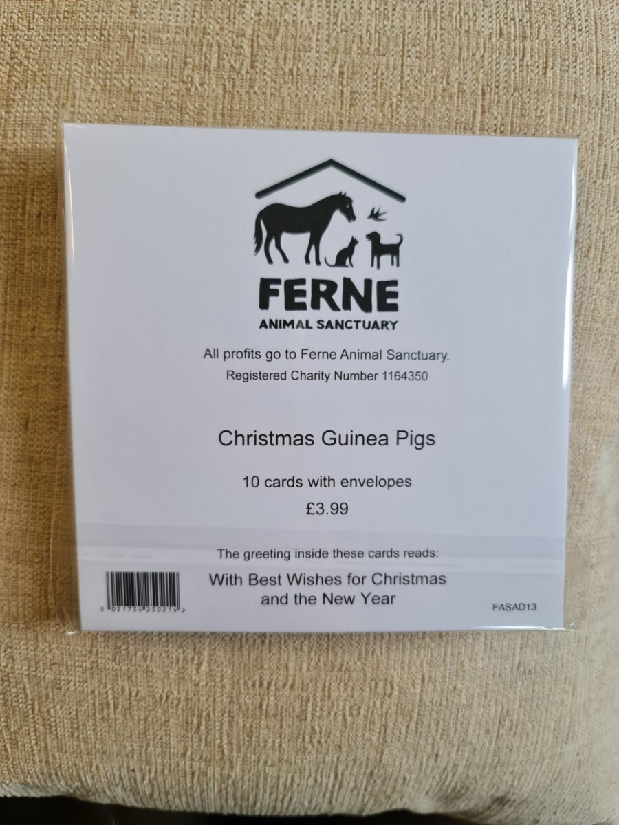 Ferne Christmas Cards pack of 10 - Guinea Pigs - Image 3