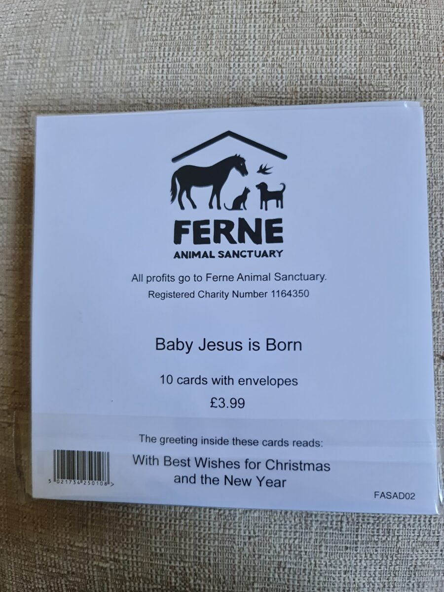 Ferne Christmas Cards Pack of 10 - Baby Jesus is Born - Image 2