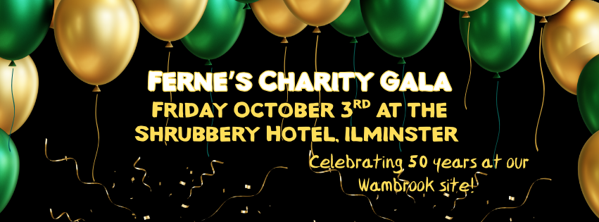 Ferne's charity gala