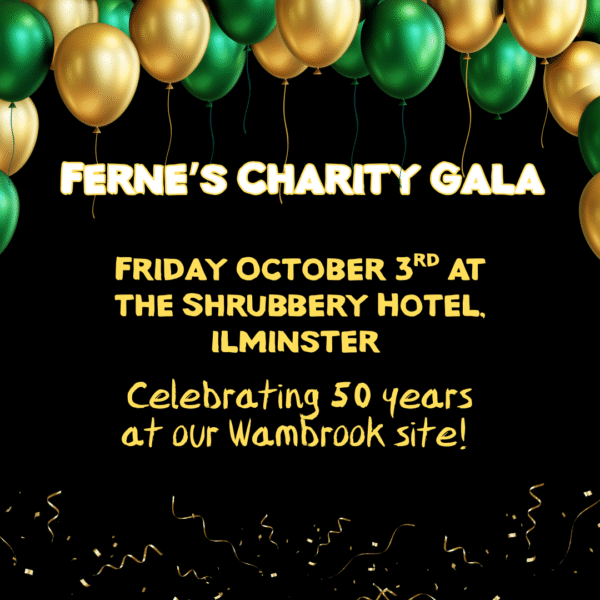 Ferne's charity gala