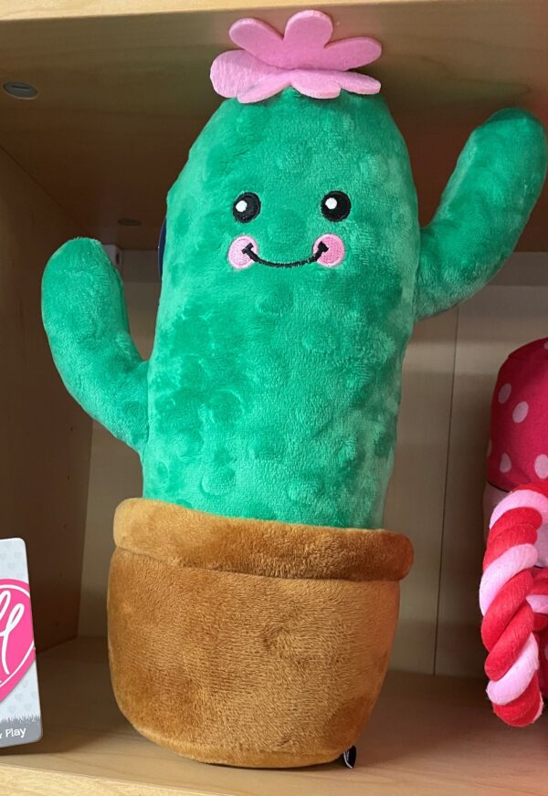 Large Cactus Dog Toy