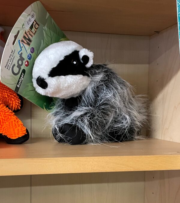 Gor Wild Badger