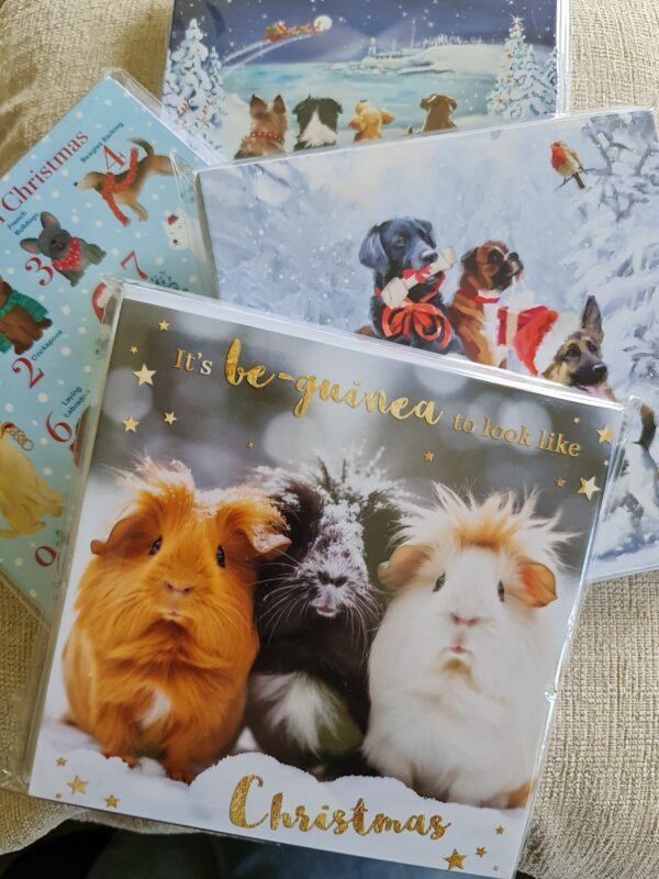 Christmas Cards