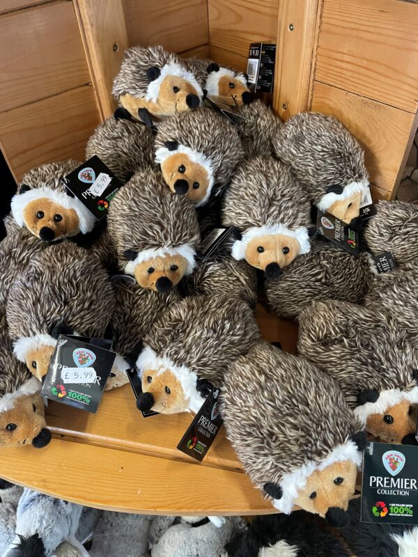 Hedgehog with Beans 14cm