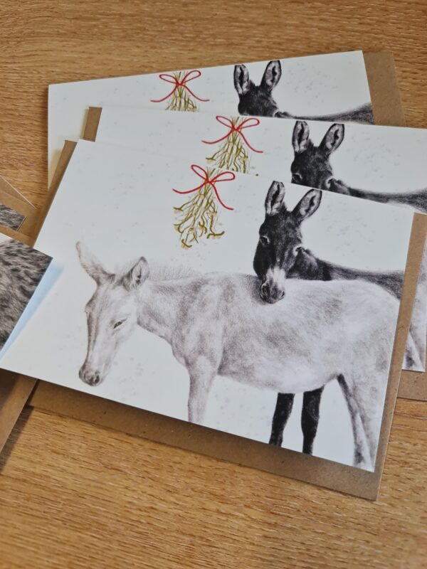 Mistletoe Hare & Donkey - Hand Drawn Eco Christmas Card Pack Of 6
