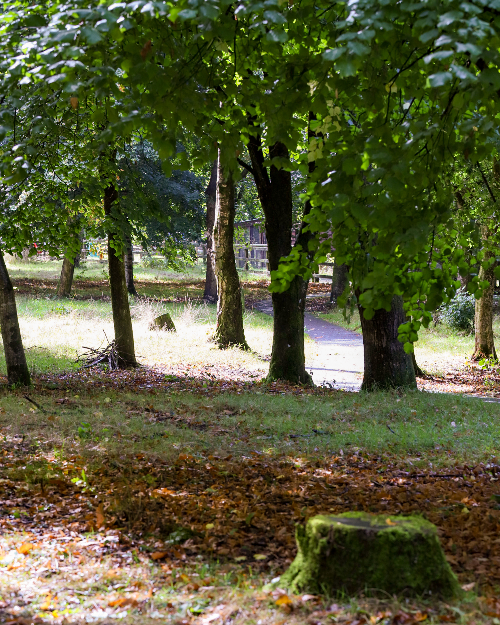 The Plantation at Ferne
