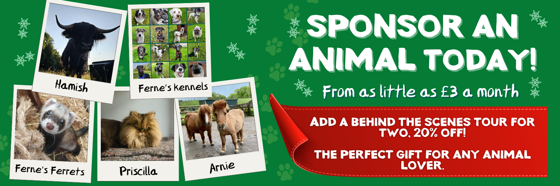 Xmas website and email