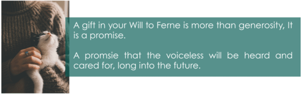 Free wills month Ferne