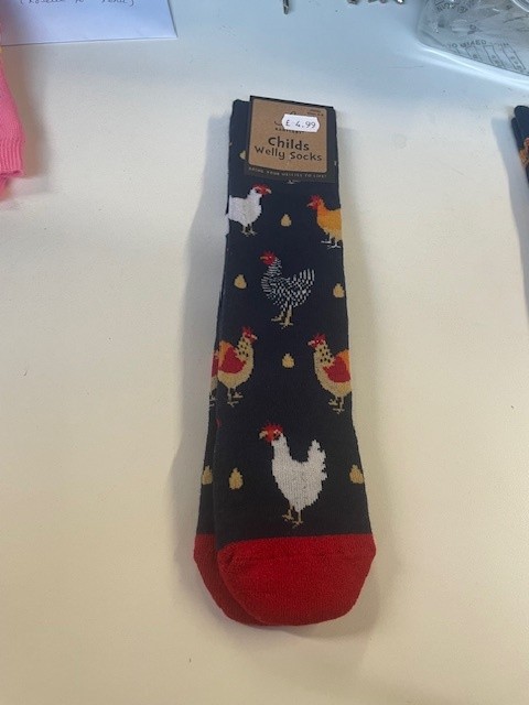 Childs Welly Socks - Colourful chickens