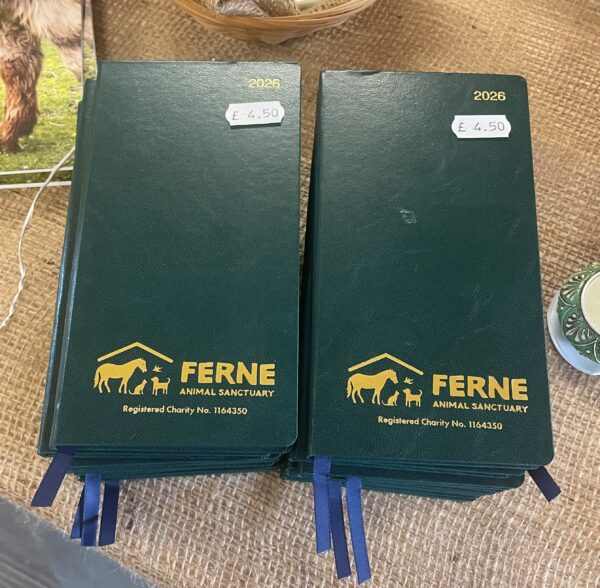 2026 Ferne Diary