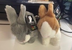 Baby Rabbits 16cm