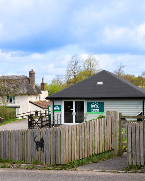 The Hub at Ferne Animal Sanctuary