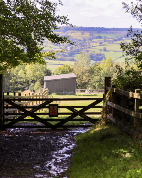 Ferne Animal Sanctuary at Wambrook 