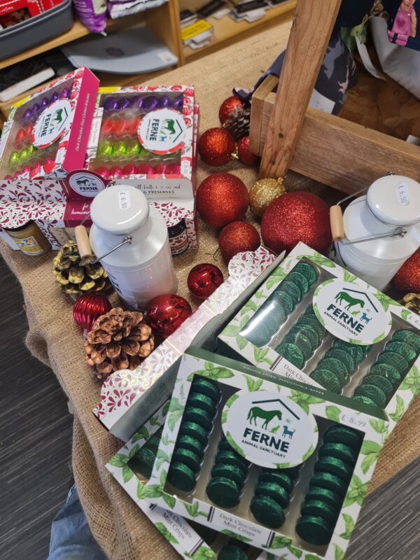 Ferne Dark Chocolate Mint Crisps