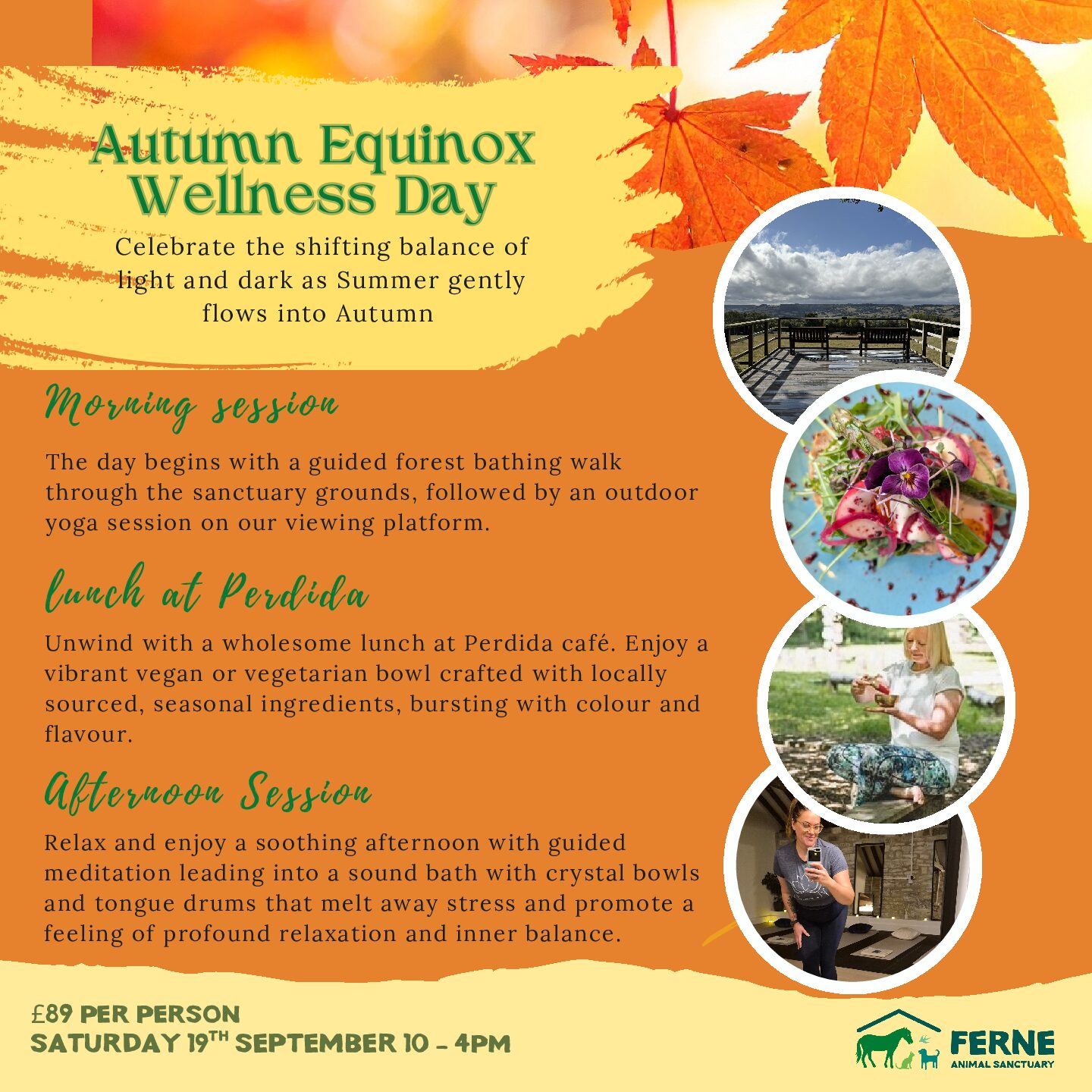 Wellness Day 2026 - Image 2