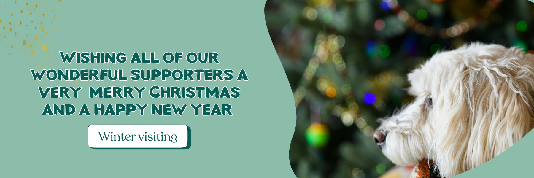 Ferne Animal Sanctuary Wildlife day event 