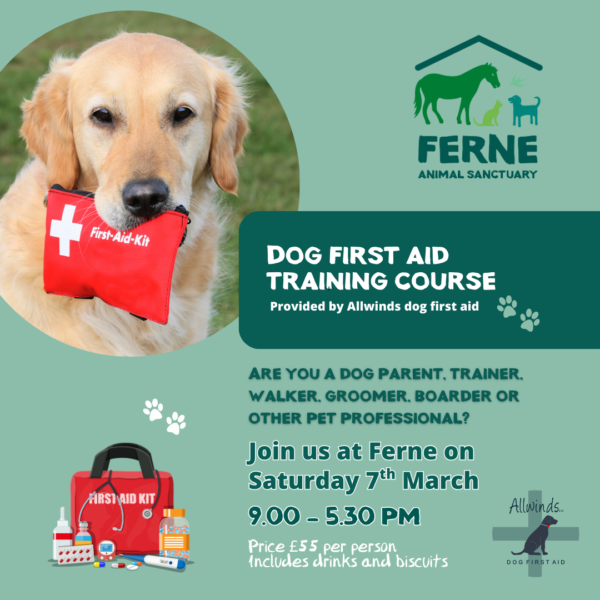 Allwinds Dog First Aid Course
