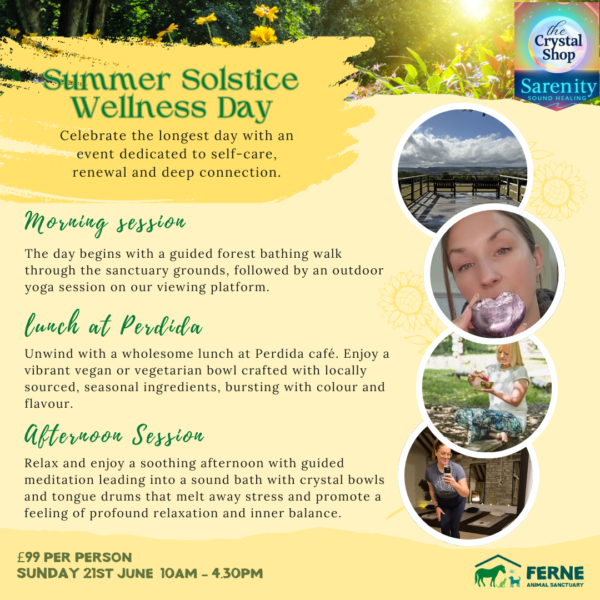 Wellness Day 2026