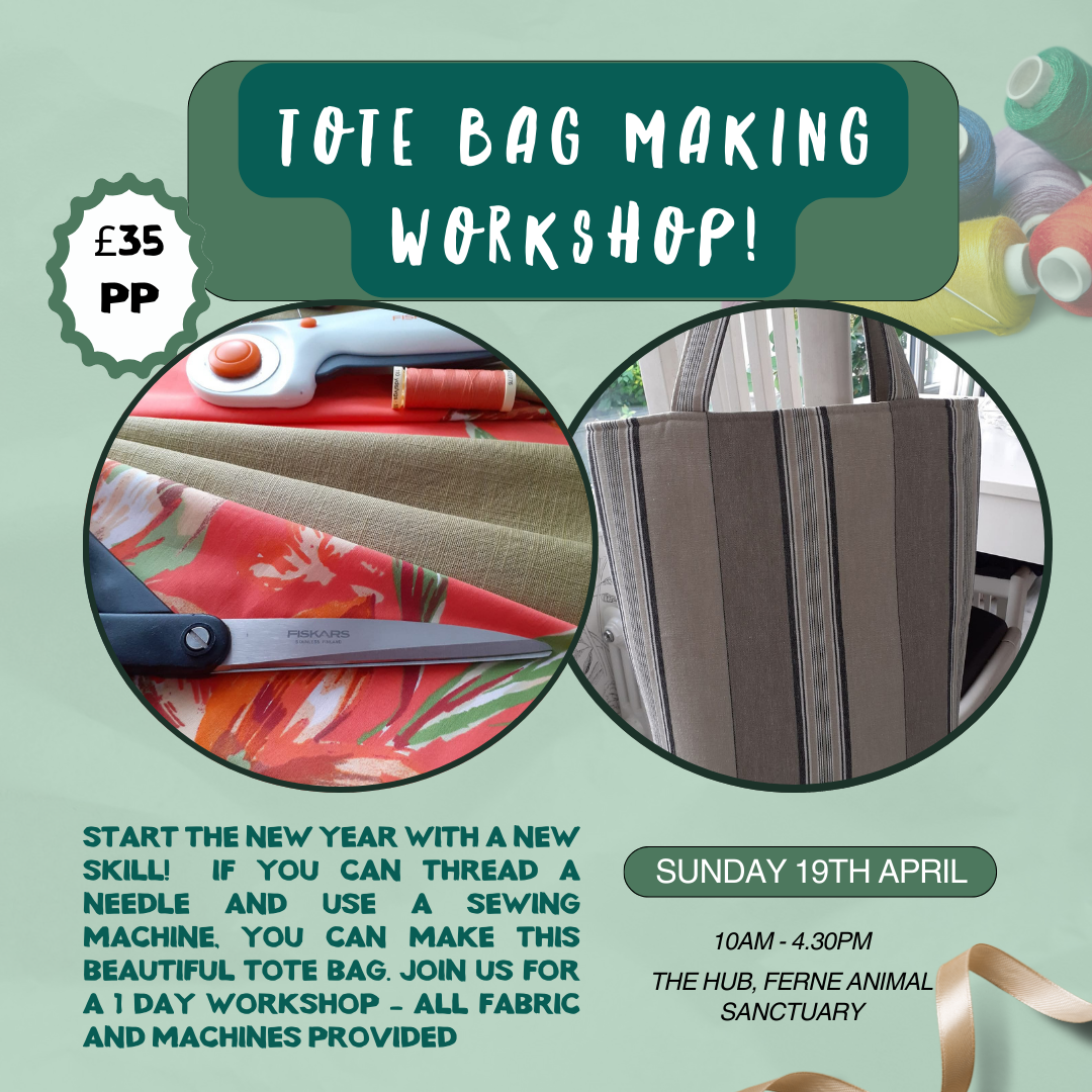 Tote Bag Making Workshop