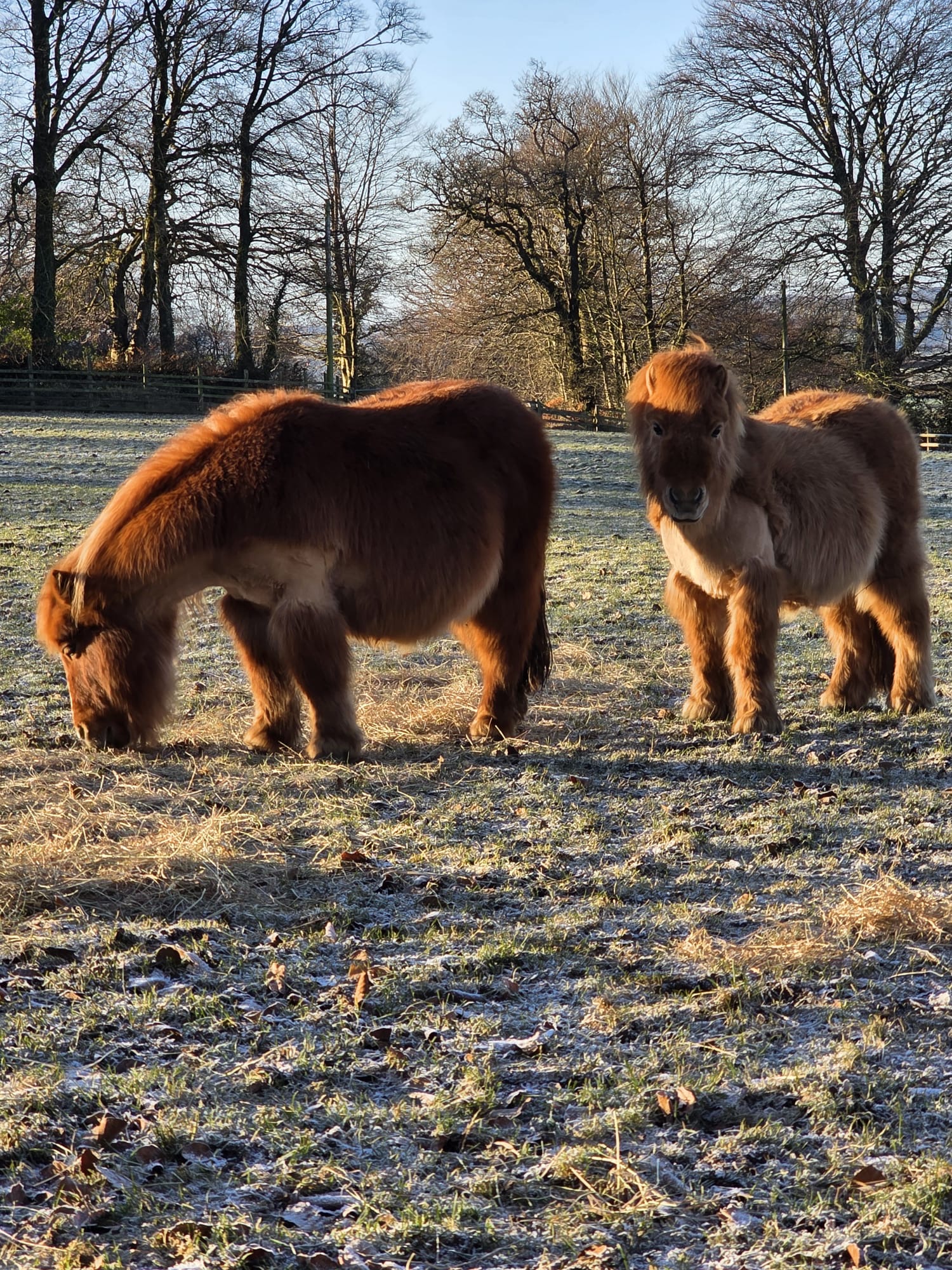 Winter at Ferne: What to Expect When Visiting During the Colder Months