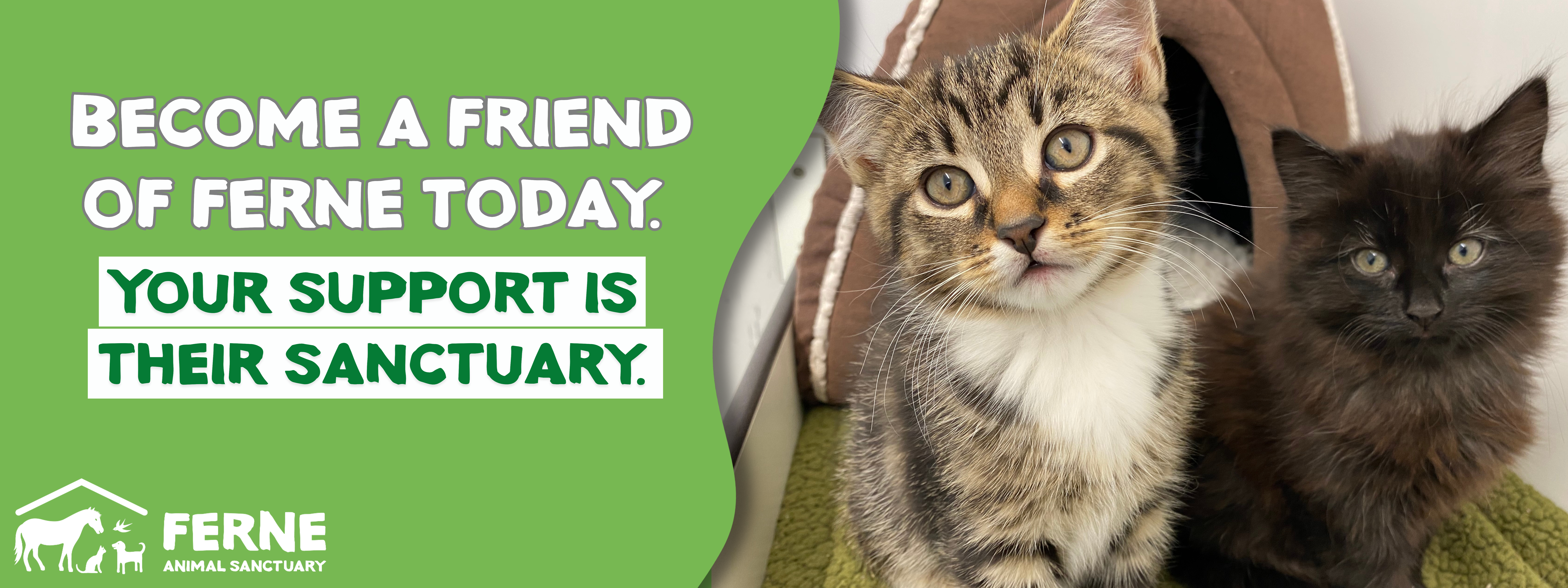 Ferne Animal Sanctuary banner_dog_with_lead