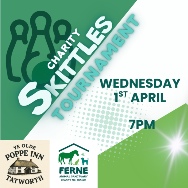 Charity Fun Skittles Tournament